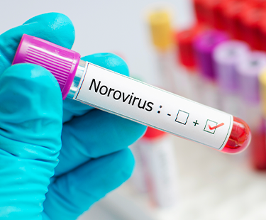 Norovirus is Back: How Educators Should Prepare
