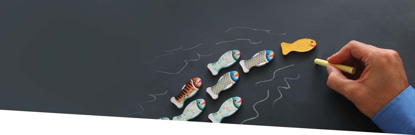 Better Boards, Better Schools